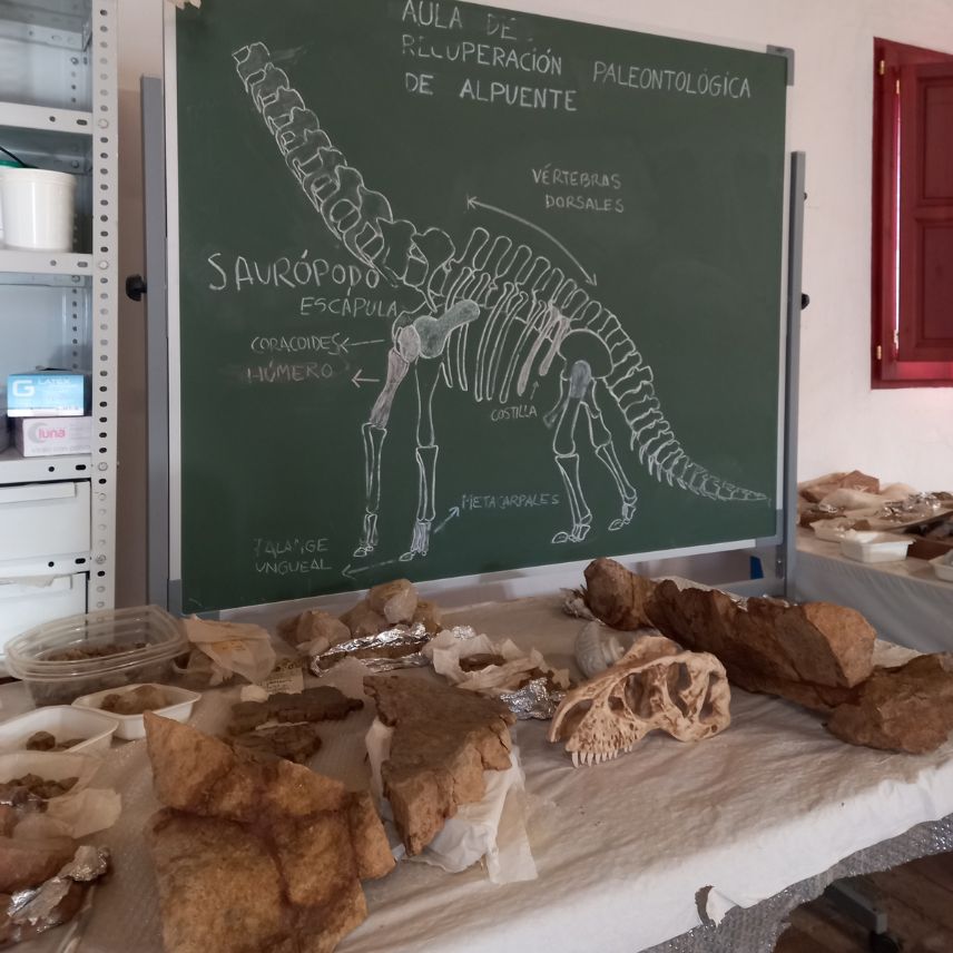 Lugares de interes Alpuente Aula de recuperación paleontológica
