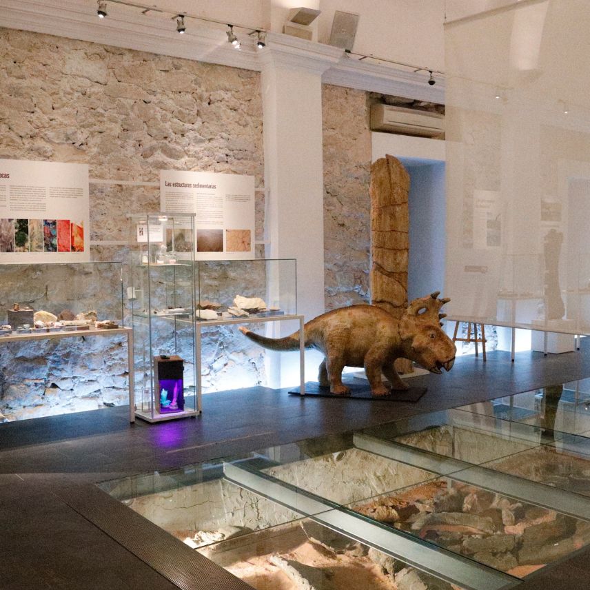 Lugares de interes Alpuente Museo de paleontología